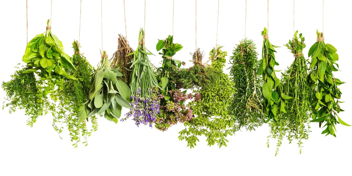 Herbal Remedies